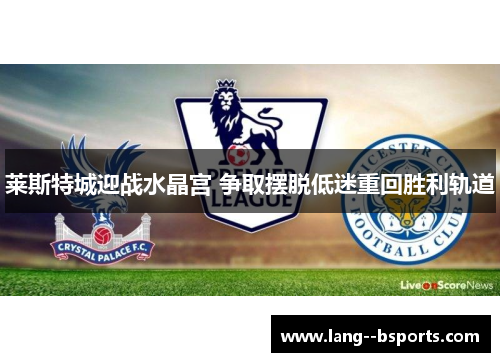 莱斯特城迎战水晶宫 争取摆脱低迷重回胜利轨道